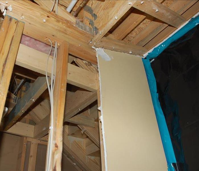 Mold Remediation in home