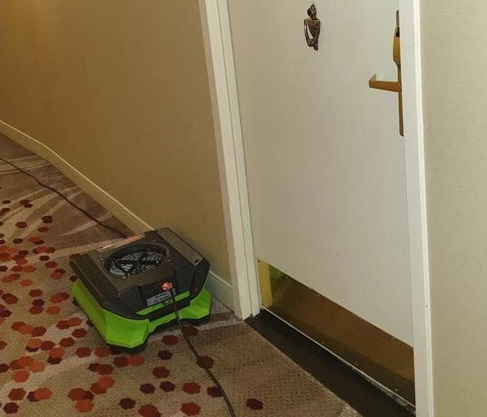 Green air mover on a carpet floor with dots.